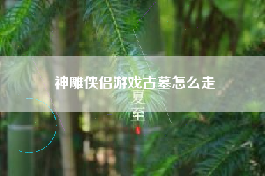 神雕侠侣游戏古墓怎么走