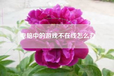 电脑中的游戏不在线怎么办