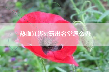 热血江湖SF玩出名堂怎么办