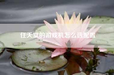 任天堂的游戏机怎么选配置