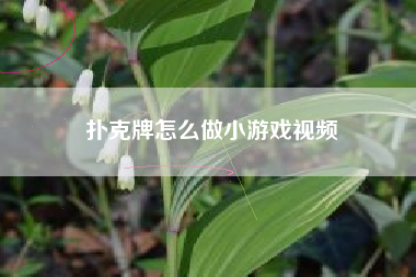 扑克牌怎么做小游戏视频