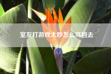 室友打游戏太吵怎么骂回去