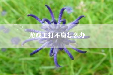 游戏王打不赢怎么办