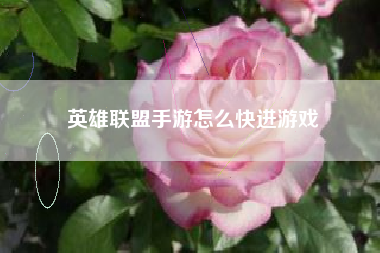 英雄联盟手游怎么快进游戏