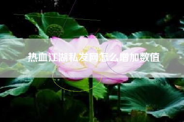 热血江湖私发网怎么增加数值