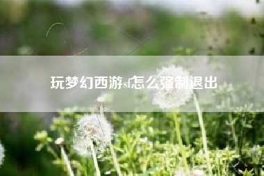 玩梦幻西游sf怎么强制退出