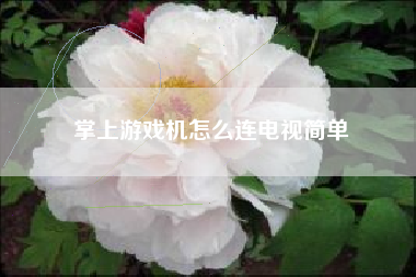 掌上游戏机怎么连电视简单