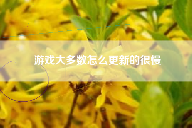 游戏大多数怎么更新的很慢