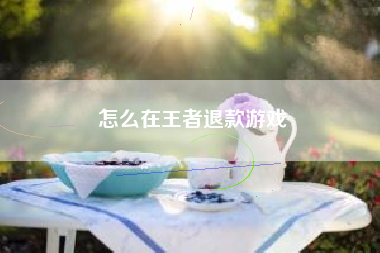 怎么在王者退款游戏