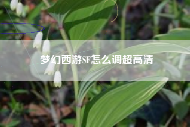 梦幻西游SF怎么调超高清
