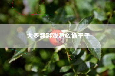 大多数游戏怎么偷车子