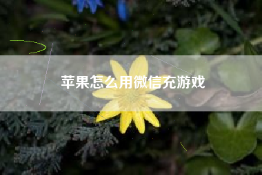 苹果怎么用微信充游戏