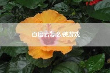 百度云怎么装游戏