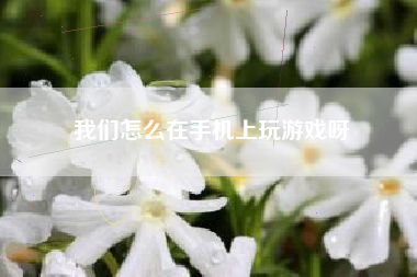 我们怎么在手机上玩游戏呀