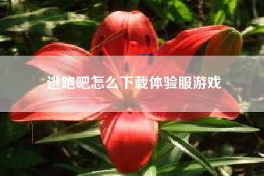 逃跑吧怎么下载体验服游戏