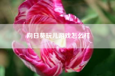 向日葵玩儿游戏怎么样