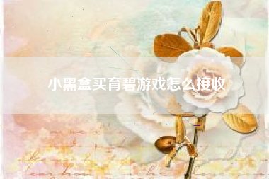 小黑盒买育碧游戏怎么接收