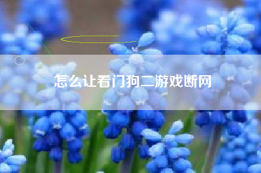 怎么让看门狗二游戏断网
