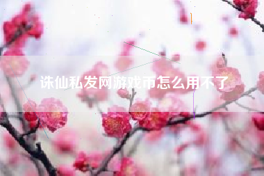 诛仙私发网游戏币怎么用不了