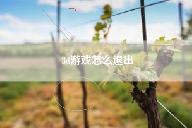 3d游戏怎么退出