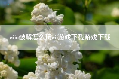 wiiu破解怎么玩wii游戏下载游戏下载