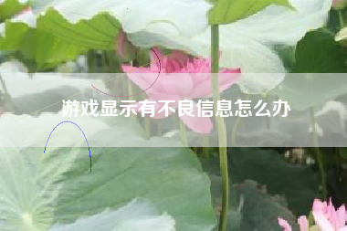 游戏显示有不良信息怎么办