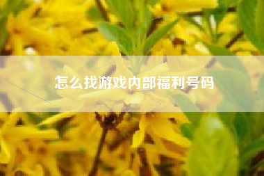 怎么找游戏内部福利号码