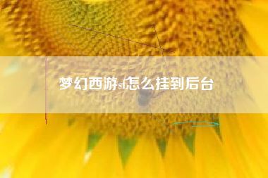 梦幻西游sf怎么挂到后台