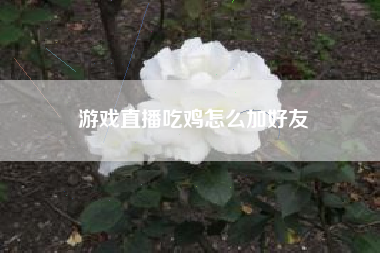 游戏直播吃鸡怎么加好友