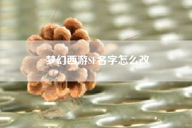 梦幻西游SF名字怎么改