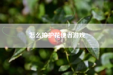 怎么拍护花使者游戏