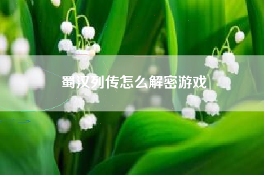 蜀汉列传怎么解密游戏