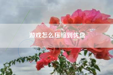 游戏怎么压缩到优盘