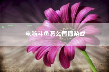 电脑斗鱼怎么直播游戏