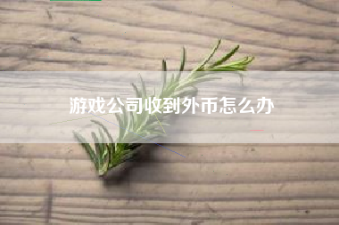 游戏公司收到外币怎么办