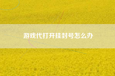 游戏代打开挂封号怎么办