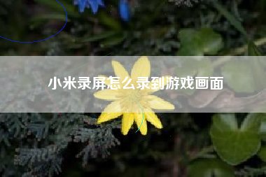 小米录屏怎么录到游戏画面