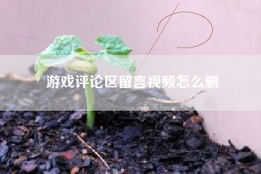 游戏评论区留言视频怎么删