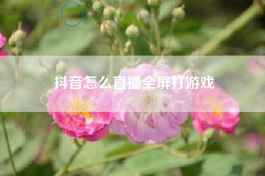 抖音怎么直播全屏打游戏