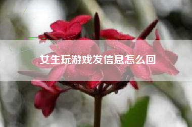 女生玩游戏发信息怎么回