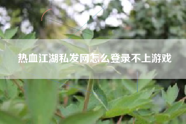 热血江湖私发网怎么登录不上游戏