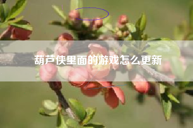 葫芦侠里面的游戏怎么更新