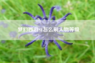 梦幻西游SF怎么刷人物等级