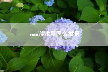 coso游戏里怎么举报