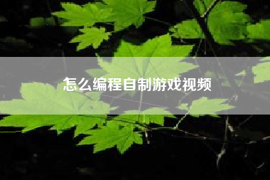 怎么编程自制游戏视频