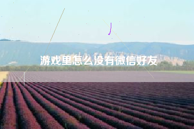 游戏里怎么没有微信好友