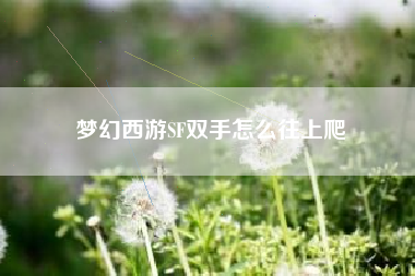 梦幻西游SF双手怎么往上爬