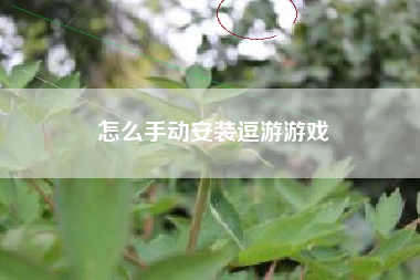 怎么手动安装逗游游戏