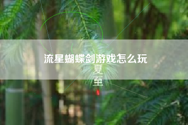 流星蝴蝶剑游戏怎么玩