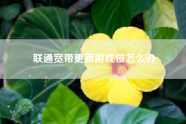 联通宽带更新游戏慢怎么办